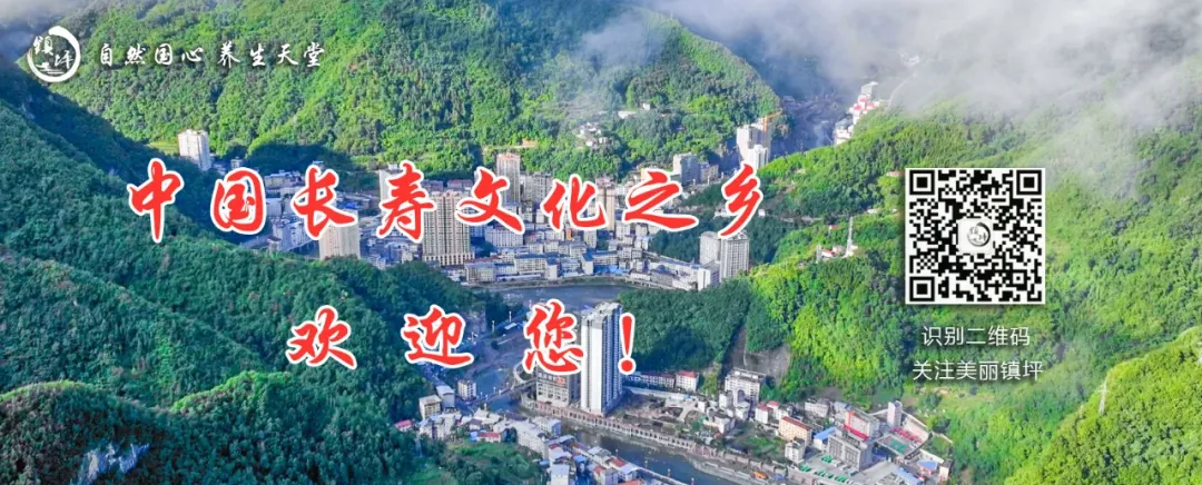 Zhenping County